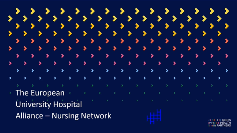 Introduction to the European University Hospital Alliance (EUHA) Nursing Network for KHP